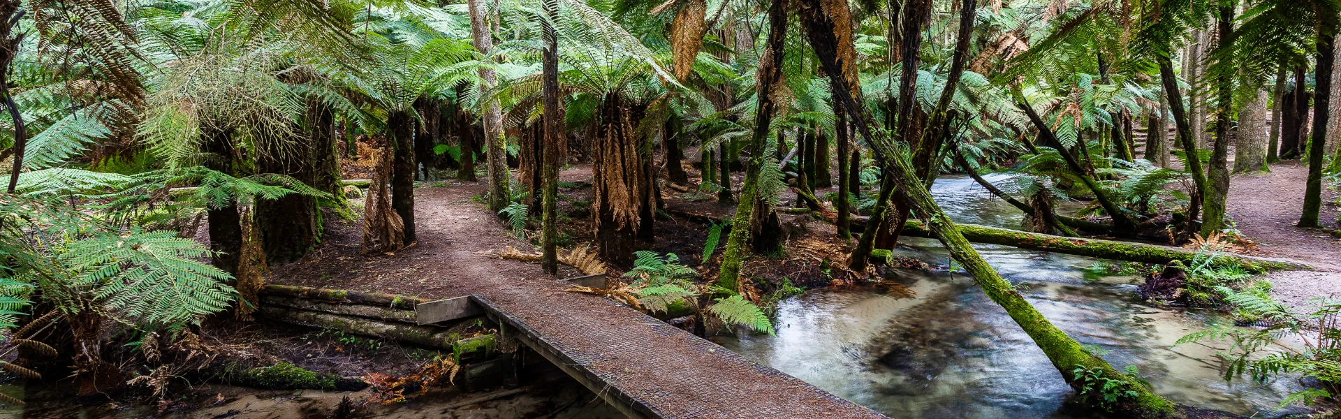Things to Do in Rotorua in Summer